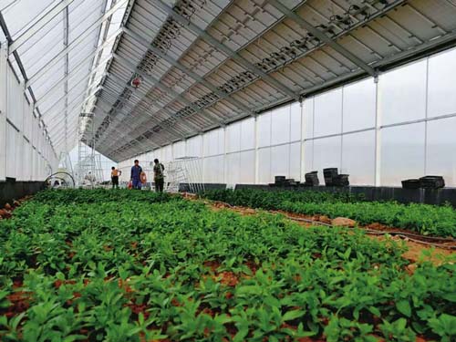 楚宏農業 專業打造昆明溫室大棚，助力高原特色農業發展