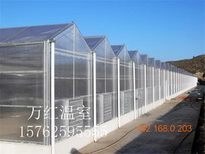 溫室大棚選購指南 薄膜、玻璃與生態玻璃溫室的對比與推薦