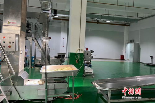萬千氣象看云南丨從一顆核桃開始，在西南邊陲探索“一縣一業(yè)”熱能產(chǎn)品研發(fā)